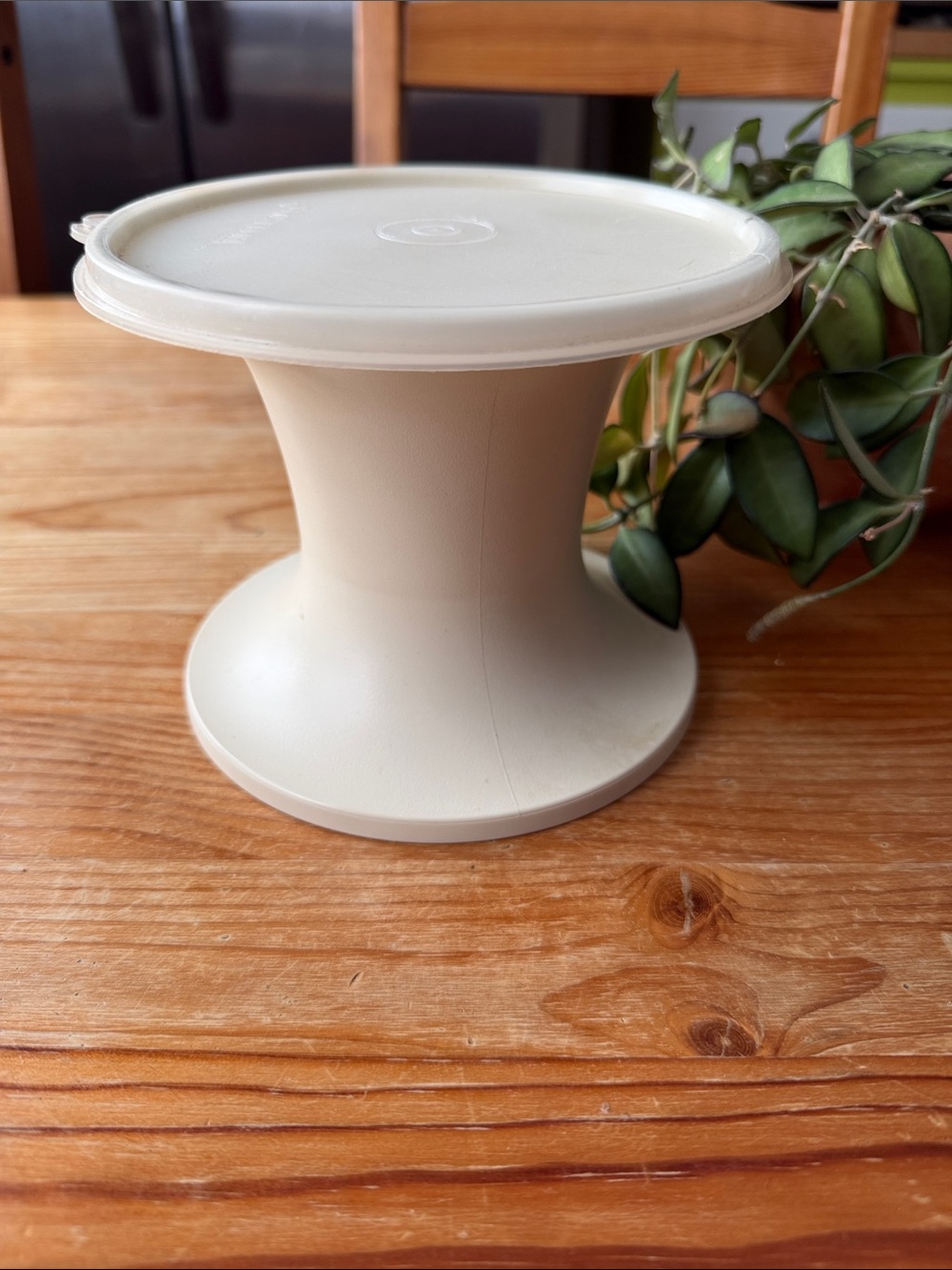 Vintage Tupperware Container